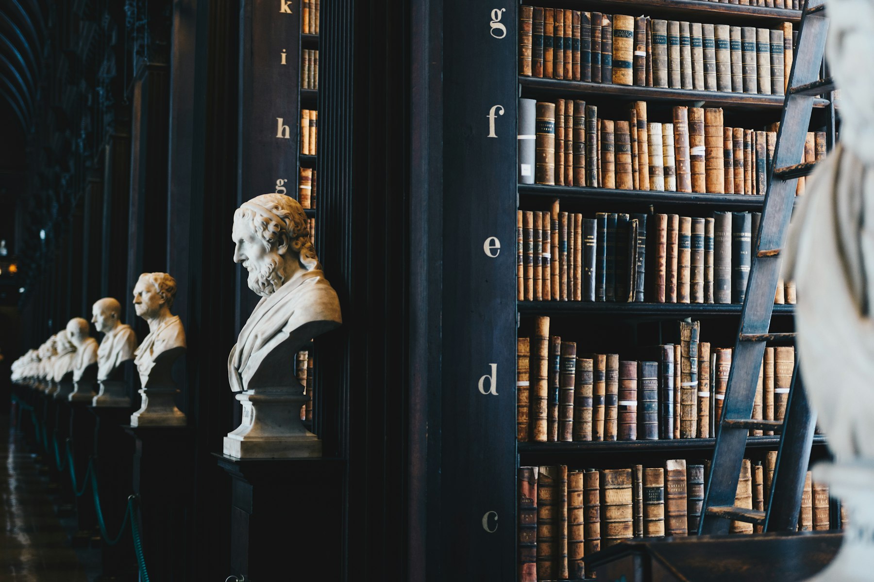 Bibliothèque juridique ancienne et bustes en marbre